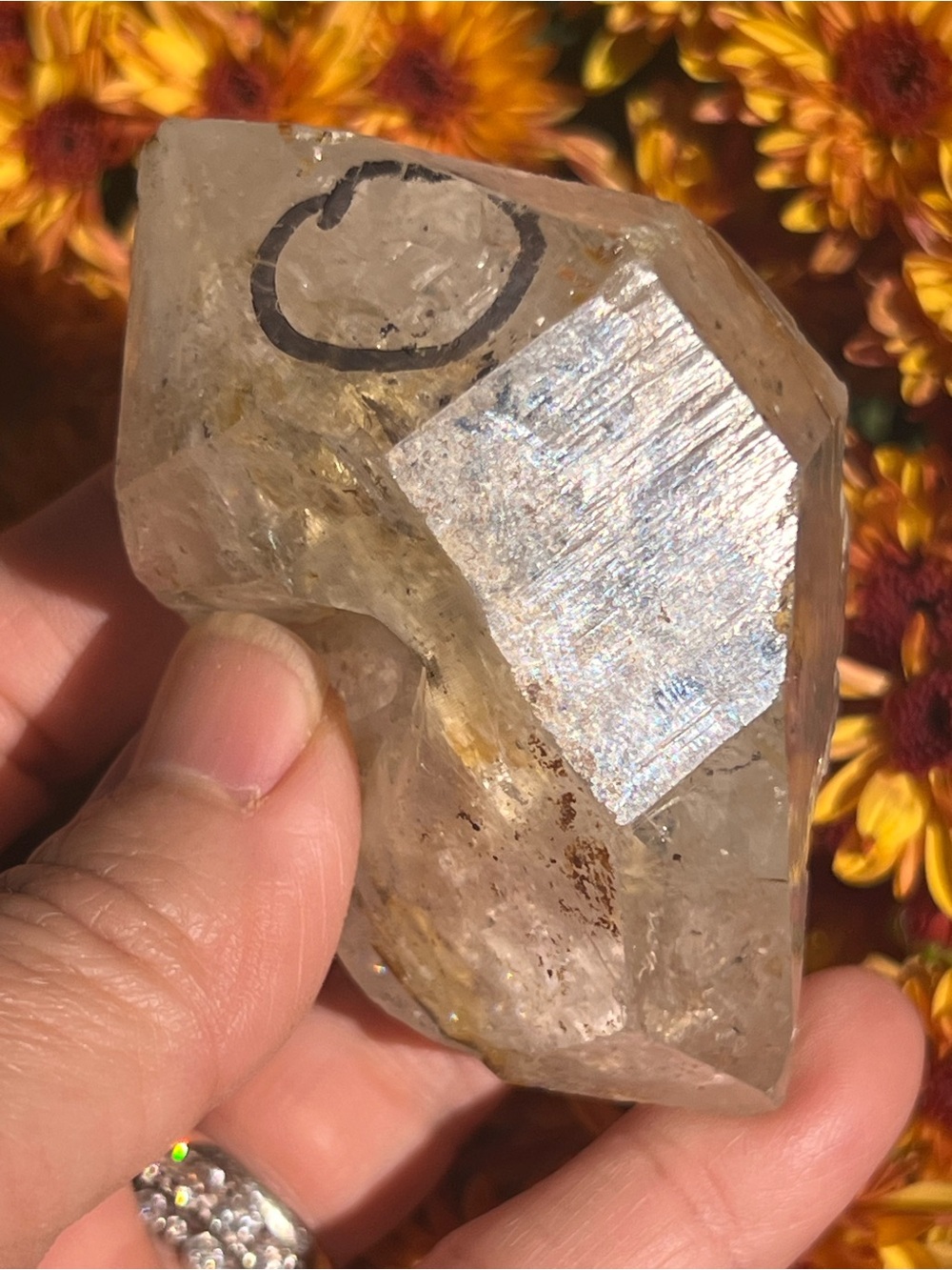 Enhydro (3) quartz freeform | Crystal